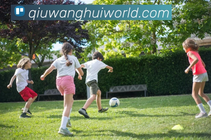 球王会APP 封面图